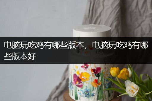 电脑玩吃鸡有哪些版本，电脑玩吃鸡有哪些版本好