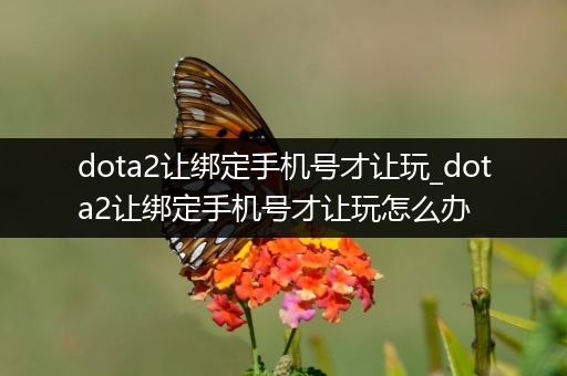 dota2让绑定手机号才让玩_dota2让绑定手机号才让玩怎么办