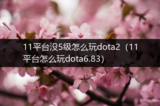 11平台没5级怎么玩dota2（11平台怎么玩dota6.83）