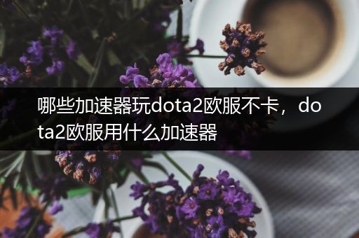哪些加速器玩dota2欧服不卡，dota2欧服用什么加速器