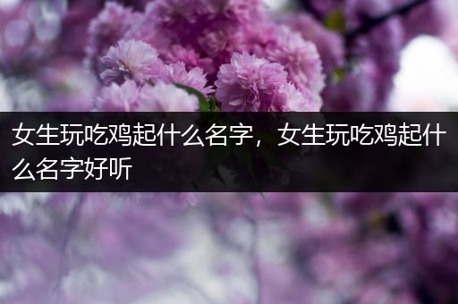 女生玩吃鸡起什么名字，女生玩吃鸡起什么名字好听