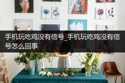 手机玩吃鸡没有信号_手机玩吃鸡没有信号怎么回事