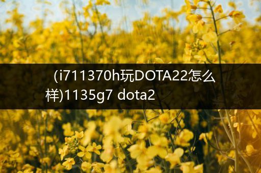 （i711370h玩DOTA22怎么样)1135g7 dota2