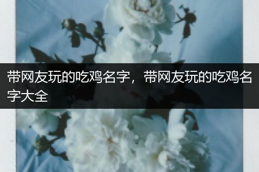 带网友玩的吃鸡名字，带网友玩的吃鸡名字大全