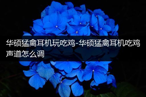 华硕猛禽耳机玩吃鸡-华硕猛禽耳机吃鸡声道怎么调