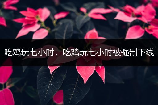 吃鸡玩七小时，吃鸡玩七小时被强制下线