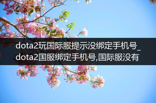 dota2玩国际服提示没绑定手机号_dota2国服绑定手机号,国际服没有