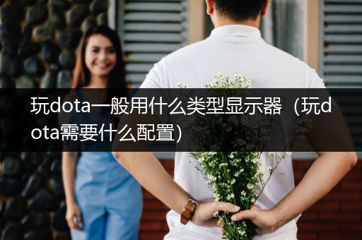 玩dota一般用什么类型显示器（玩dota需要什么配置）