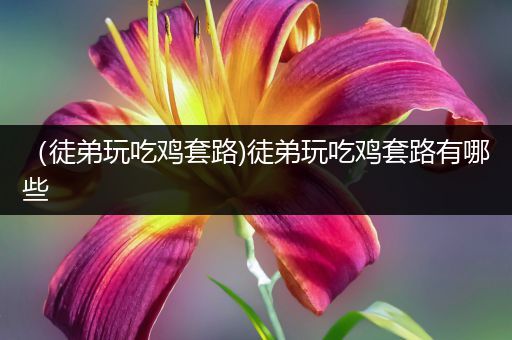（徒弟玩吃鸡套路)徒弟玩吃鸡套路有哪些