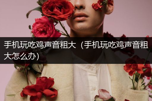 手机玩吃鸡声音粗大（手机玩吃鸡声音粗大怎么办）