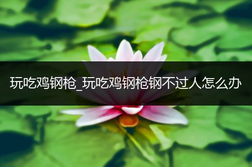 玩吃鸡钢枪_玩吃鸡钢枪钢不过人怎么办