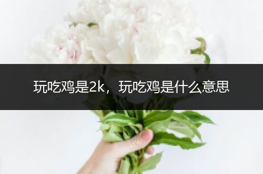 玩吃鸡是2k，玩吃鸡是什么意思