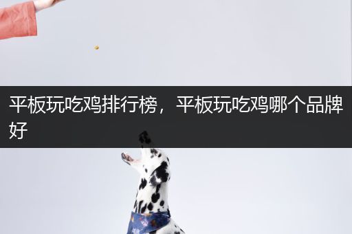 平板玩吃鸡排行榜，平板玩吃鸡哪个品牌好