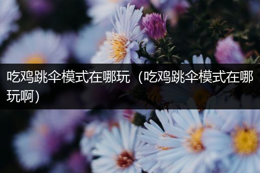 吃鸡跳伞模式在哪玩（吃鸡跳伞模式在哪玩啊）
