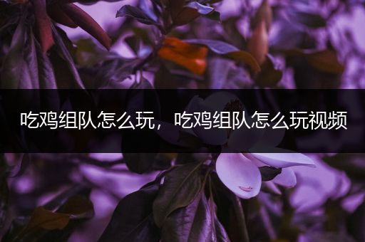 吃鸡组队怎么玩，吃鸡组队怎么玩视频