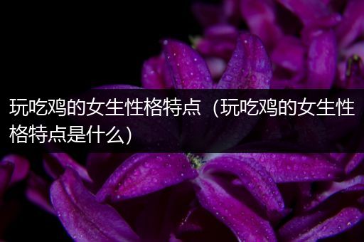 玩吃鸡的女生性格特点（玩吃鸡的女生性格特点是什么）