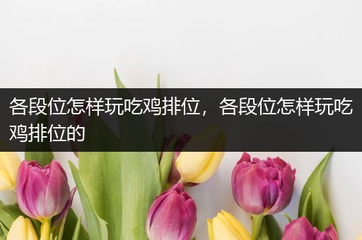 各段位怎样玩吃鸡排位，各段位怎样玩吃鸡排位的