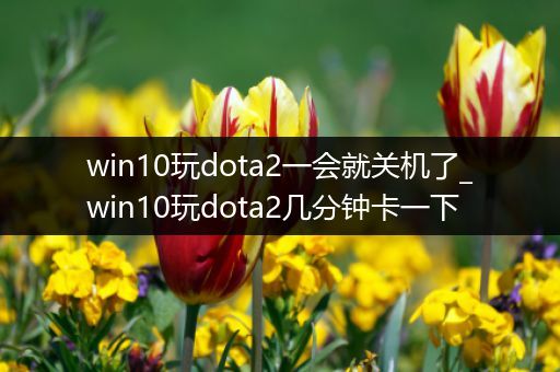win10玩dota2一会就关机了_win10玩dota2几分钟卡一下
