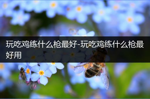 玩吃鸡练什么枪最好-玩吃鸡练什么枪最好用