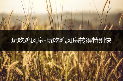 玩吃鸡风扇-玩吃鸡风扇转得特别快