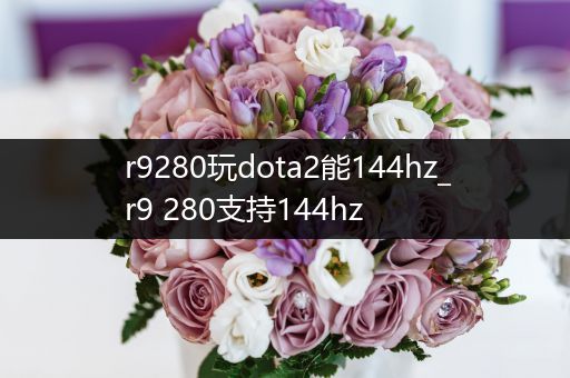 r9280玩dota2能144hz_r9 280支持144hz