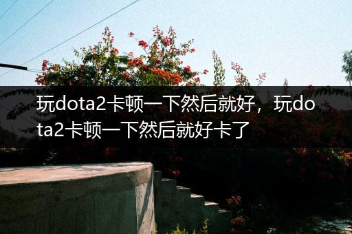 玩dota2卡顿一下然后就好，玩dota2卡顿一下然后就好卡了