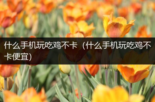 什么手机玩吃鸡不卡（什么手机玩吃鸡不卡便宜）