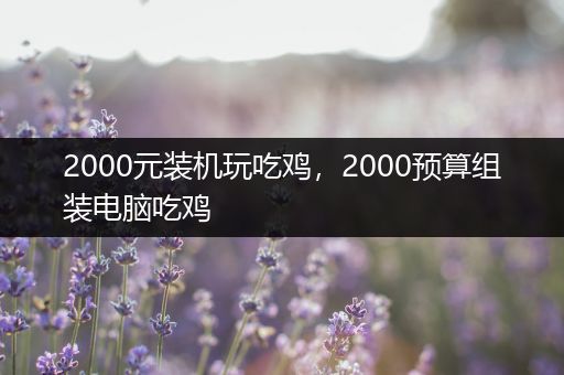 2000元装机玩吃鸡，2000预算组装电脑吃鸡