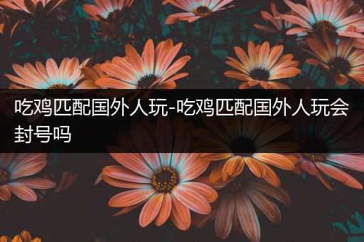 吃鸡匹配国外人玩-吃鸡匹配国外人玩会封号吗
