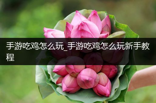 手游吃鸡怎么玩_手游吃鸡怎么玩新手教程