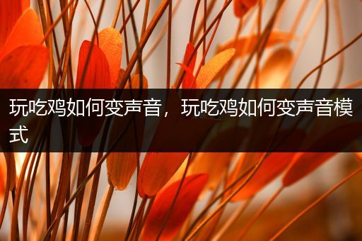 玩吃鸡如何变声音，玩吃鸡如何变声音模式