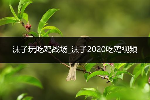 沫子玩吃鸡战场_沫子2020吃鸡视频