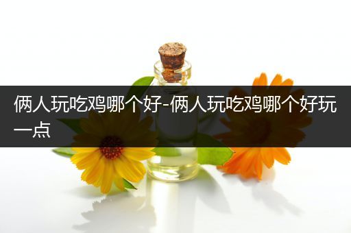 俩人玩吃鸡哪个好-俩人玩吃鸡哪个好玩一点