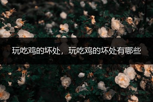 玩吃鸡的坏处，玩吃鸡的坏处有哪些