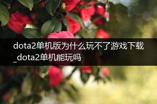 dota2单机版为什么玩不了游戏下载_dota2单机能玩吗