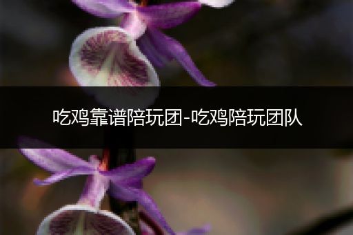 吃鸡靠谱陪玩团-吃鸡陪玩团队