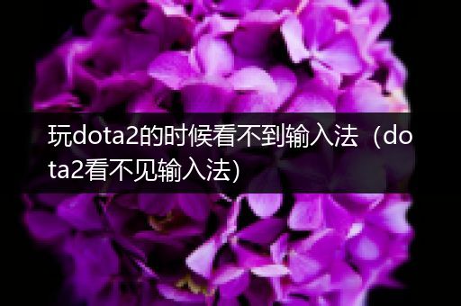 玩dota2的时候看不到输入法（dota2看不见输入法）