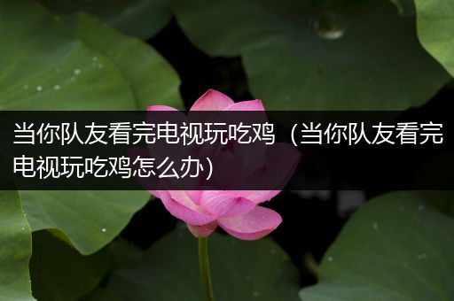 当你队友看完电视玩吃鸡（当你队友看完电视玩吃鸡怎么办）