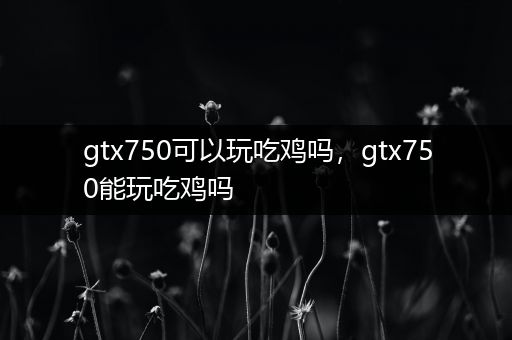 gtx750可以玩吃鸡吗，gtx750能玩吃鸡吗