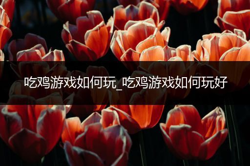 吃鸡游戏如何玩_吃鸡游戏如何玩好