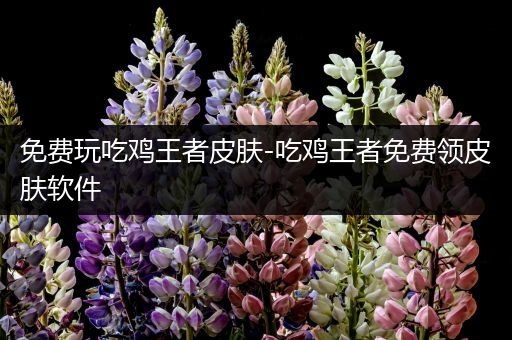 免费玩吃鸡王者皮肤-吃鸡王者免费领皮肤软件