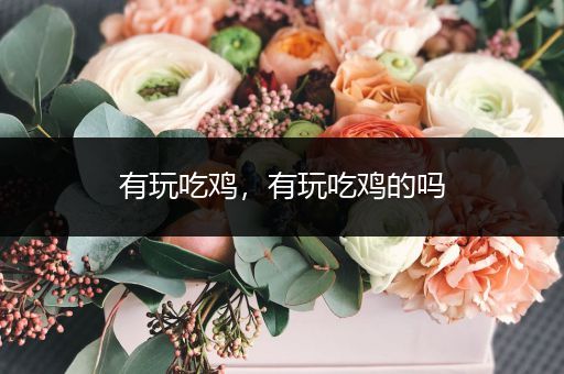 有玩吃鸡，有玩吃鸡的吗