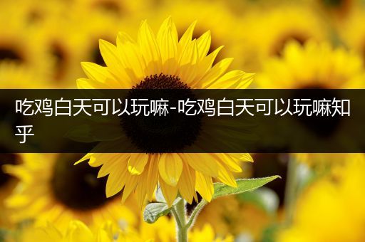 吃鸡白天可以玩嘛-吃鸡白天可以玩嘛知乎