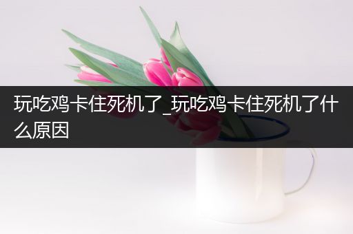 玩吃鸡卡住死机了_玩吃鸡卡住死机了什么原因