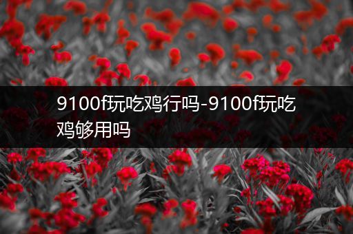 9100f玩吃鸡行吗-9100f玩吃鸡够用吗