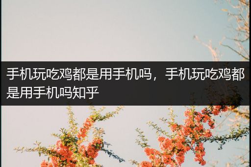 手机玩吃鸡都是用手机吗，手机玩吃鸡都是用手机吗知乎