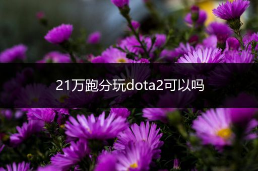 21万跑分玩dota2可以吗