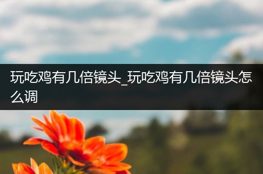 玩吃鸡有几倍镜头_玩吃鸡有几倍镜头怎么调