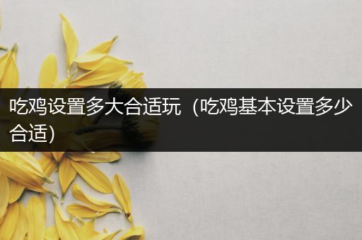 吃鸡设置多大合适玩（吃鸡基本设置多少合适）
