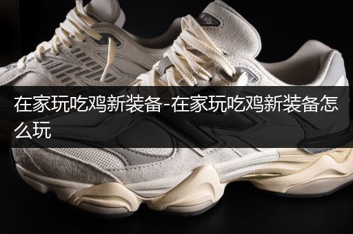 在家玩吃鸡新装备-在家玩吃鸡新装备怎么玩